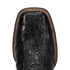 Dan Post Marsh Caiman Boot - Luxury Exotic Leather Western