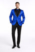 Mens Blazer - Paisley Sport Coat - Royal Prom Tuxedo Dinner Jacket Blazer