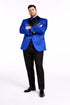 Mens Blazer - Paisley Sport Coat - Royal Prom Tuxedo Dinner Jacket Blazer