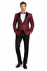 Mens Paisley Embroidered Regular Fit Paisley Pattern Tuxedo in Red