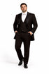 Mens Phantom of The Opera Tail Tuxedo Costume in Black