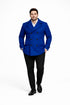Mens Royal Blue Double-Breasted Wool Peacoat – Alberto Nardoni Collection