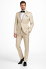Men's Slim Fit Shiny Paisley Prom & Wedding  Beige Suit