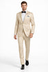 Men's Slim Fit Shiny Paisley Prom & Wedding  Beige Suit