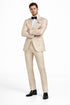 Men's Slim Fit Shiny Paisley Prom & Wedding  Beige Suit