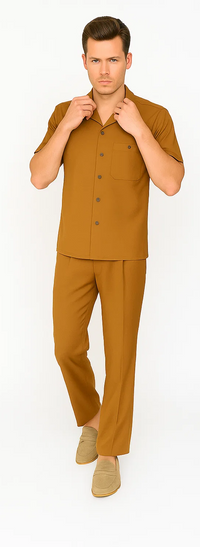 Mens Walking Suit in Color Caramel Leisure Suit Casual Matching Shirt and Pants $99
