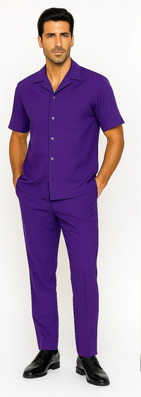 Mens Walking Suit in Color Purple Leisure Suit Casual Matching Shirt and Pants $99
