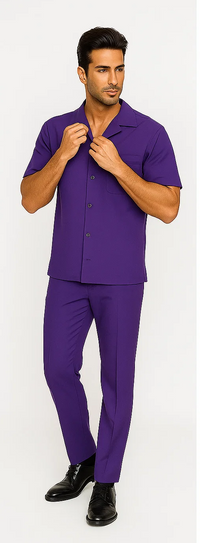 Mens Walking Suit in Color Purple Leisure Suit Casual Matching Shirt and Pants $99