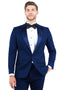 Mens Zegarie Brand Men's Modern Fit One Button Peak Lapel Tuxedo Separates Jacket in Navy with Navy Lapel