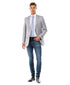 Light Grey Modern Fit Notch Lapel Jacket by Zegarie
