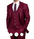 Men’s Stacy Adams Brand Burgundy 3 Piece Suit – Two Button Vested Style church wedding Modern Fit Suit
