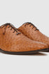Marco Di Milano Criss Brandy Ostrich Quill Dress Shoe Oxfords