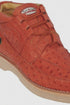Zapato Avestruz Completo LAB-ZA0603