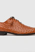 Marco Di Milano Criss Brandy Ostrich Quill Dress Shoe Oxfords