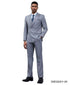 Stacy Adams Men's 2 Piece Executive Suit - Double Breasted