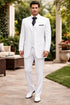 Southern Gentleman Suit