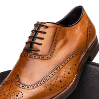 Zelli Stephano Wingtip Oxfords with Brogue Detailing in Camel