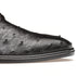 Mezlan Tillson Ostrich Plain Toe Blucher Black (4732-S)