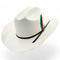 Tombstone Hats Tombstone 100X Sinaloa Cowboy Hat with Feathers 3 1/2" TOM-3904