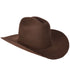 Stone 100X El Fantasma (Johnson) Shape Felt Hat with Feathers