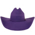 Stone 100X  Cowboy Felt Hat with Feathers Purple