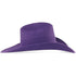 Stone 100X  Cowboy Felt Hat with Feathers Purple