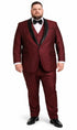 Men’s Versailles Burgundy Tuxedo 3-Piece Set with Shawl Lapel
